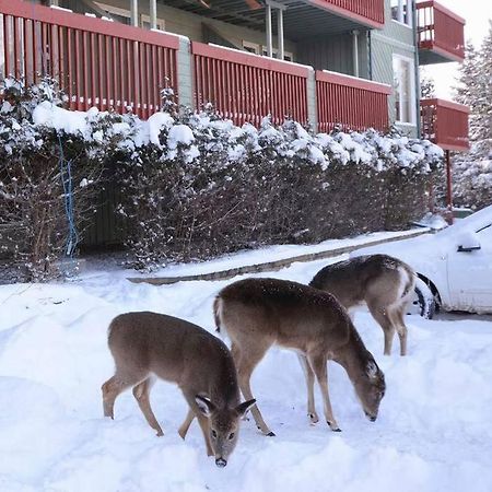 Condo Entier, Fully Equiped Pool And Spa Only In Summer Mont-Tremblant Exteriör bild
