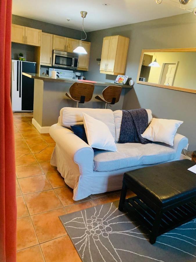 Condo Entier, Fully Equiped Pool And Spa Only In Summer Mont-Tremblant Exteriör bild